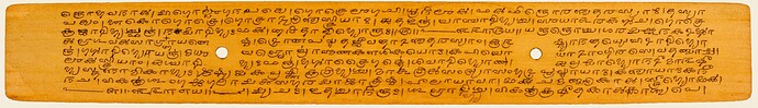 A palm-leaf page from the Aṣṭādhyāyī