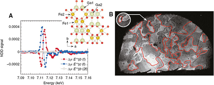 Figure 3: Examples of the interaction between optical waves and toroidal materials.(A) NDD signal measured from a GaFeO3 crystal for a polarization of the incident X-rays being aligned as Eω||b and Eω||c, where a and b are depicted in the inset [96]. (B) Ferrotoroidic domains of a LiCoPO4 (100) sample at 10 K imaged with SHG light at 2.197 eV [78]. Black and red lines indicate the different ferrotoroidic domain walls caused by Tz and Ty, respectively. Inset: ferrotoroidic domain movement caused by a temperature cycle. Figures reprinted with permission from (A) Ref. [96], APS; (B) Ref. [78], NPG.