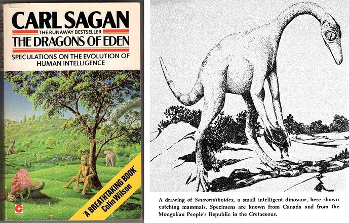 Caption: Sagan’s 1977 The Dragons of Eden, as approved by author of The Space Vampires! At right, the Saurornithoides image that appears in Sagan’s book. Sagan credited this image to Dale Russell’s 1969 paper on Stenonychosaurus. No such image appears there, so I’m not quite sure where it really came from.
