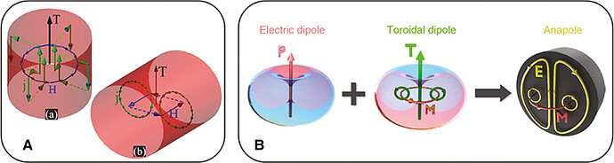 Figure 8: The combination of a magnetic toroidal dipole moment and an electric dipole moment in a dielectric (A) nanorod [141] and (B) nanodisc can create an anapole moment [111]. Figure reproduced from (A) Ref. [141], OSA; (B) Ref. [111], Creative Commons CC-BY license.