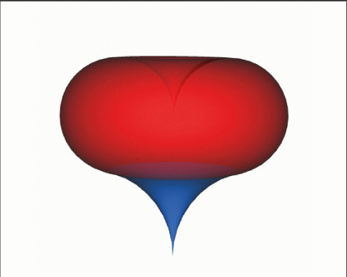 Animation indicative of embedding of heart pattern within contiguous tori