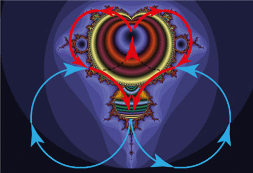 2D animation of dynamics defining the 4 conditions of the heart-pattern