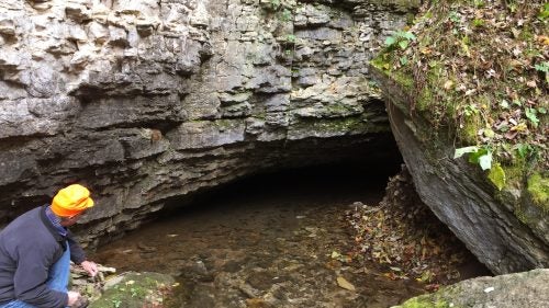 Ackerman at the natural entrance to Tyson Spring Cave