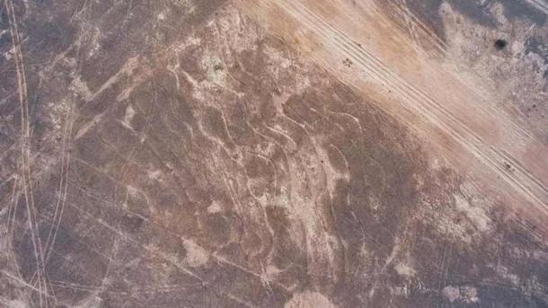 An aerial view of one section of the immense Thar Desert geoglyphs in the desert of Rajasthan, India. (Carlo Oetheimer and Yohann Oetheimer / Archaeological Research in Asia)