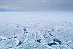 Heading for the new MOSAiC ice floe, Polarstern takes the shortest way to the area of interest: via the North Pole. On tghe way north, the sea ice is surprisingly weak, has lots of melt ponds, and Polarstern is able to easily break it.