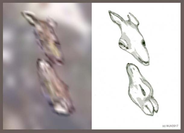 FIGURES 9 and 9a: Amongst the plethora of Antarctica imagery I have recorded each piece of imagery brought forth its own particular surprise. The two animals depicted in this exciting figure were no exception.